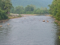 Black Fork